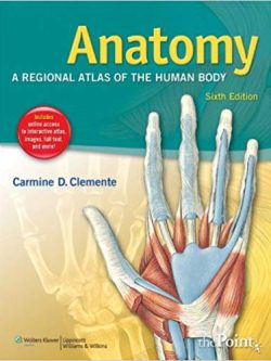 Anatomy: A Regional Atlas of the Human Body (6th Edition)