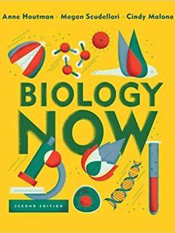 Houtman’s Biology Now (2nd Edition)