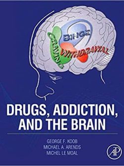 Drugs; Addiction; and the Brain
