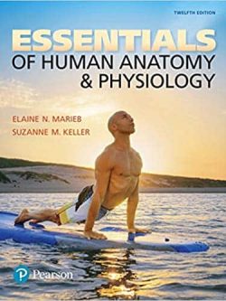 Essentials of Human Anatomy and Physiology (12th Edition)