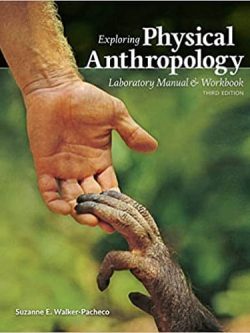 Exploring Physical Anthropology: A Lab Manual and Workbook (3rd Edition)