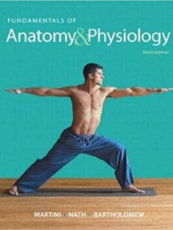 Fundamentals of Anatomy & Physiology (10th Edition)