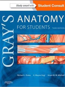 Gray’s Anatomy for Students (3rd Edition)