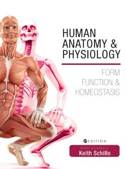 Human Anatomy and Physiology: Form; Function and Homeostasis