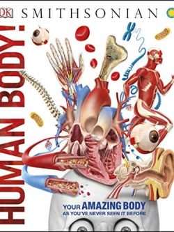 Knowledge Encyclopedia – Human Body!
