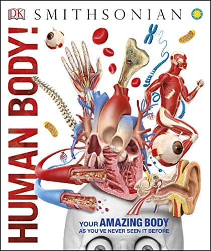 Knowledge Encyclopedia – Human Body!