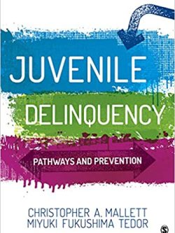 Juvenile Delinquency: Pathways and Prevention