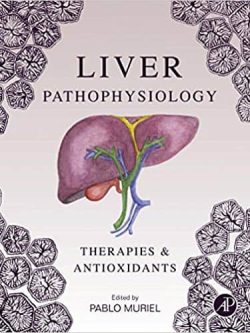 Liver Pathophysiology: Therapies and Antioxidants