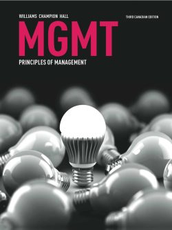 MGMT PRINCIPLES OF MANAGEMENT (3rd Canadian Edition)