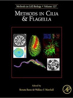 Methods in Cilia and Flagella