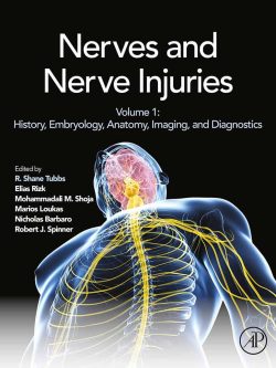 Nerves and Nerve Injuries: Vol 1: History; Embryology; Anatomy; Imaging; and Diagnostics