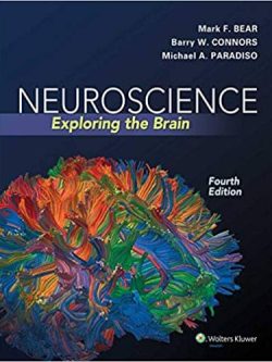 Neuroscience: Exploring the Brain (4th Edition)