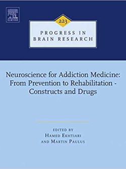 Neuroscience for Addiction Medicine: From Prevention to Rehabilitation – Constructs and Drugs