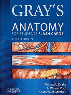 Gray’s Anatomy for Students (3rd Edition) – Flash Cards (PDF)
