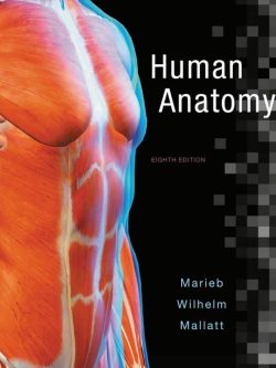 Human Anatomy; 8th edition by Marieb; Wilhelm and Mallatt