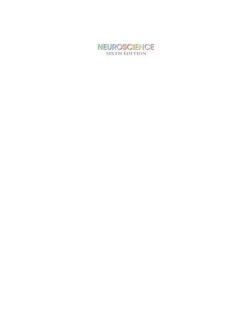 Neuroscience (6th Edition) – Testbank; Powerpoint etc