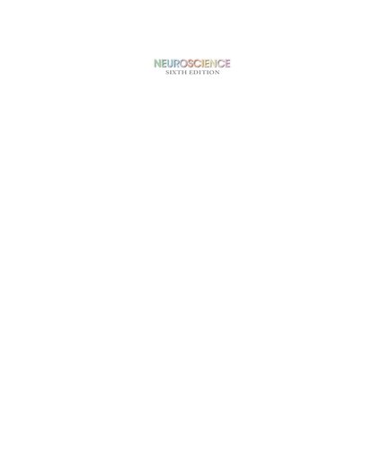 Neuroscience (6th Edition) – Testbank; Powerpoint etc