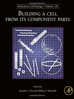 Building a Cell from its Component Parts