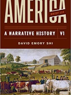 America: A Narrative History (Brief Eleventh Edition - VOL 02)