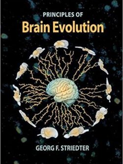Principles of Brain Evolution (1st Edition)