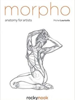 Morpho: Anatomy for Artists