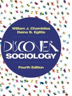 Discover Sociology (4th Edition)