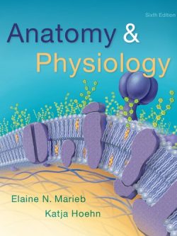 Anatomy & Physiology (6th Edition)