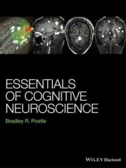 Essentials of Cognitive Neuroscience (1st Edition)