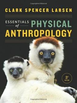 Essentials of Physical Anthropology (3rd Edition)