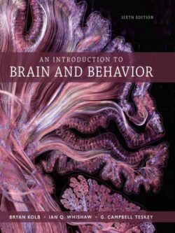 An Introduction to Brain and Behavior (6th Edition)