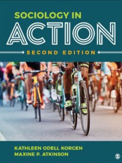 Sociology in Action (2nd Edition)
