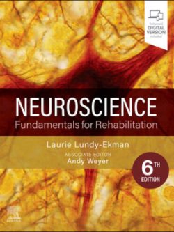 Neuroscience; Fundamentals for Rehabilitation (6th Edition)
