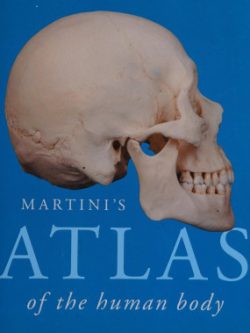 Martini's Atlas of the Human Body (10th Edition)