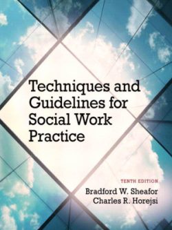 Techniques and Guidelines for Social Work Practice (10th Edition)